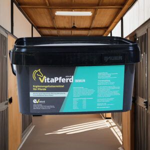 VitaPferd Immun ist ein Ergänzungsfuttermittel zur natürlichen Unterstützung des Immunsystems bei Pferden – ideal zur Vorbeugung oder zur Regeneration nach Krankheit, Stress oder Wetterumschwüngen.